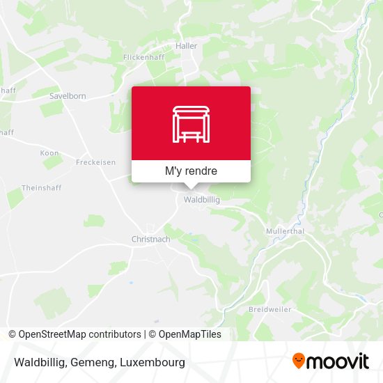 Waldbillig, Gemeng plan