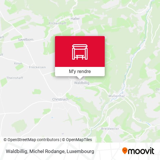 Waldbillig, Michel Rodange plan