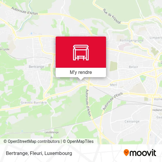 Bertrange, Fleuri plan