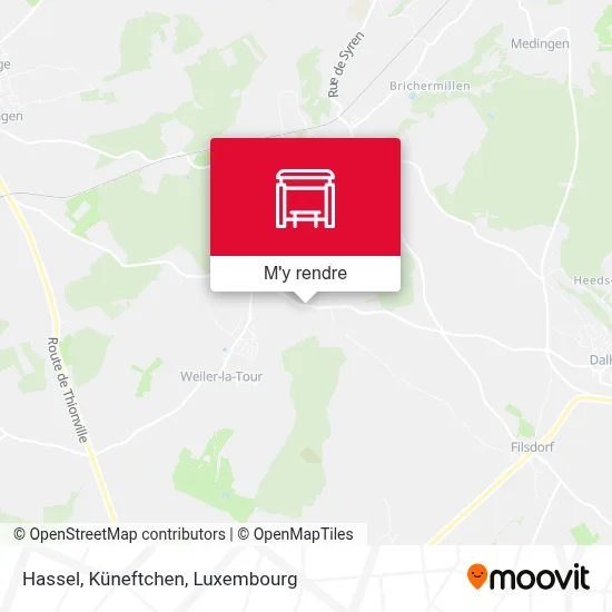 Hassel, Küneftchen plan