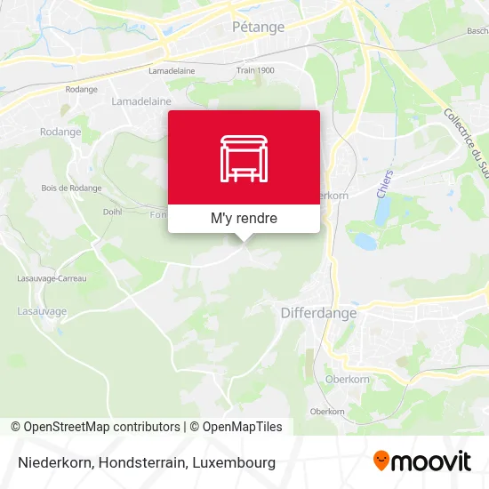 Niederkorn, Hondsterrain plan