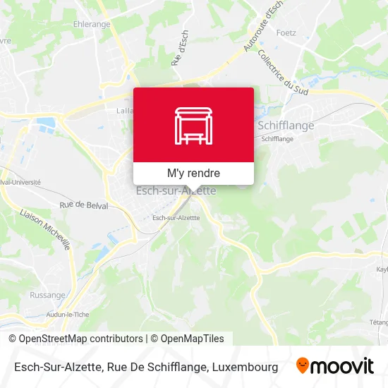 Esch-Sur-Alzette, Rue De Schifflange plan