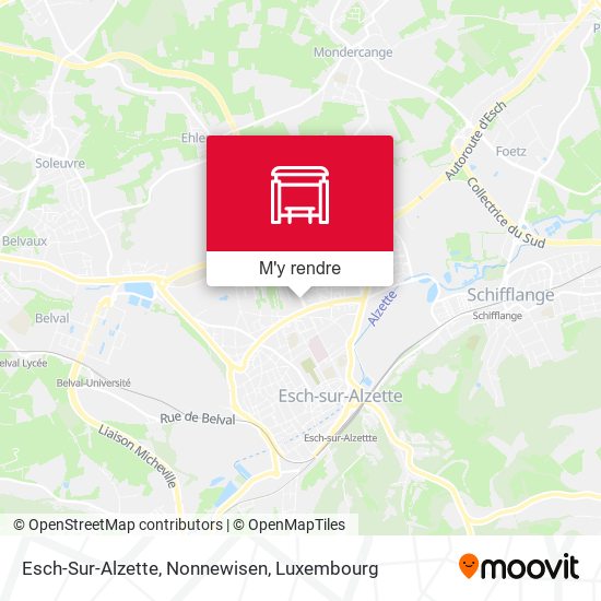 Esch-Sur-Alzette, Nonnewisen plan