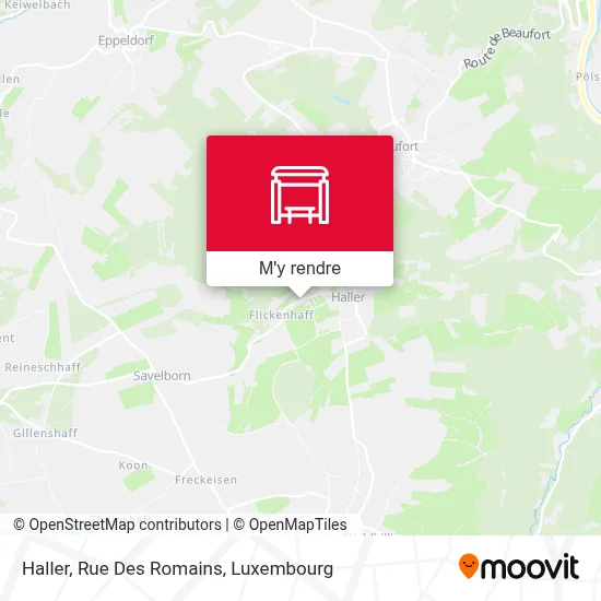 Haller, Rue Des Romains plan