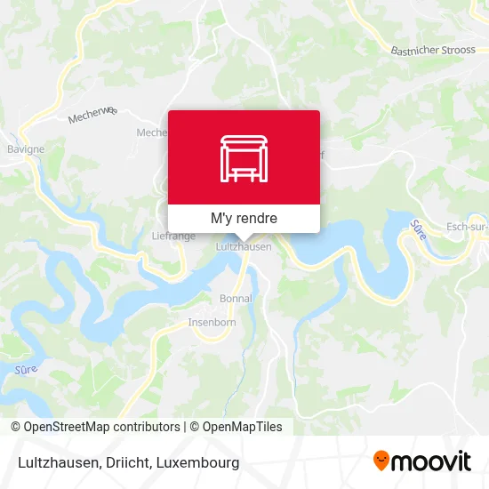 Lultzhausen, Driicht plan