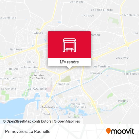 Primevères plan