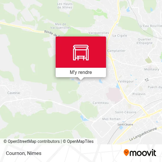 Cournon plan