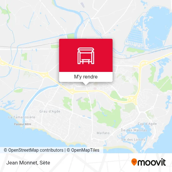 Jean Monnet plan