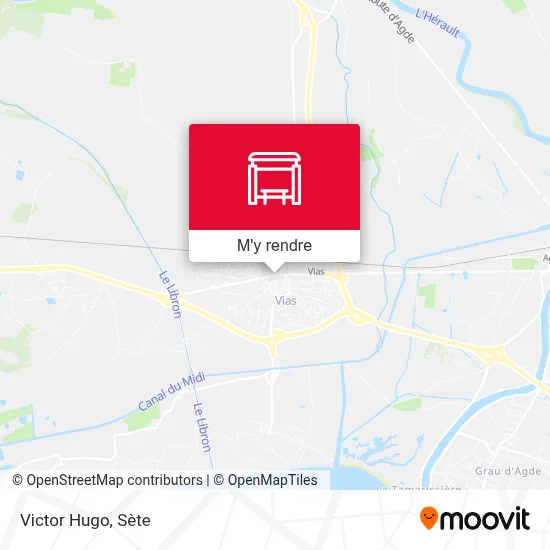 Victor Hugo plan
