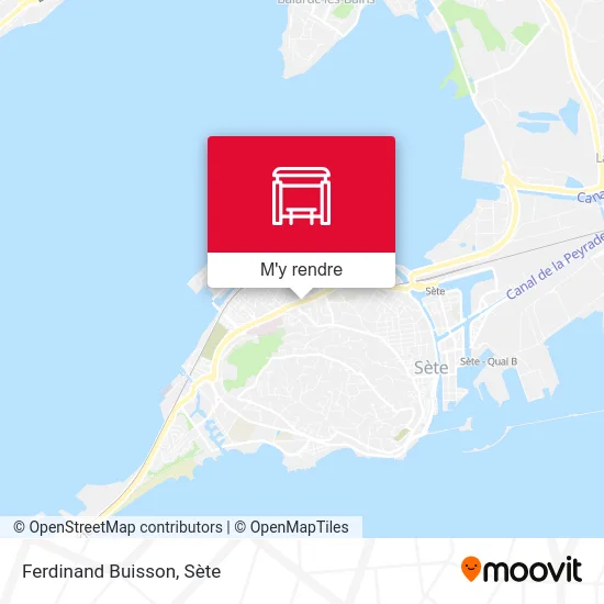 Ferdinand Buisson plan