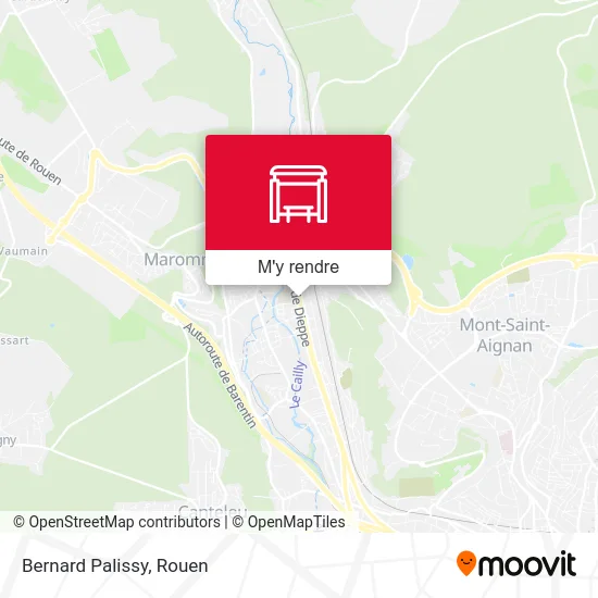 Bernard Palissy plan