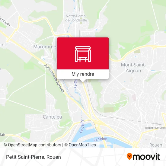 Petit Saint-Pierre plan