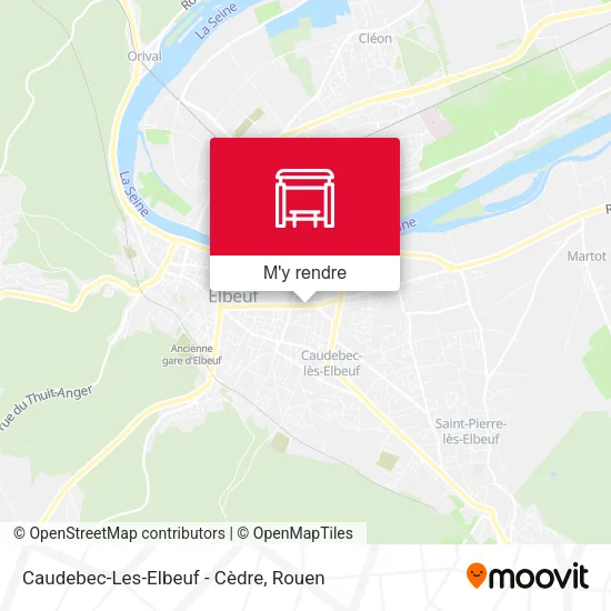 Caudebec-Les-Elbeuf - Cèdre plan