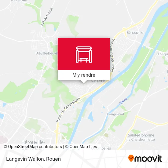 Langevin Wallon plan