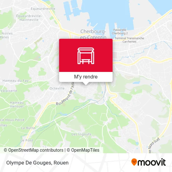 Olympe De Gouges plan