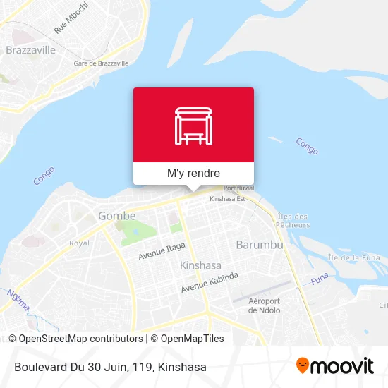 Boulevard Du 30 Juin, 119 plan