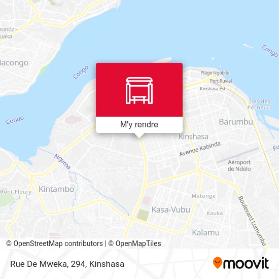 Rue De Mweka, 294 plan