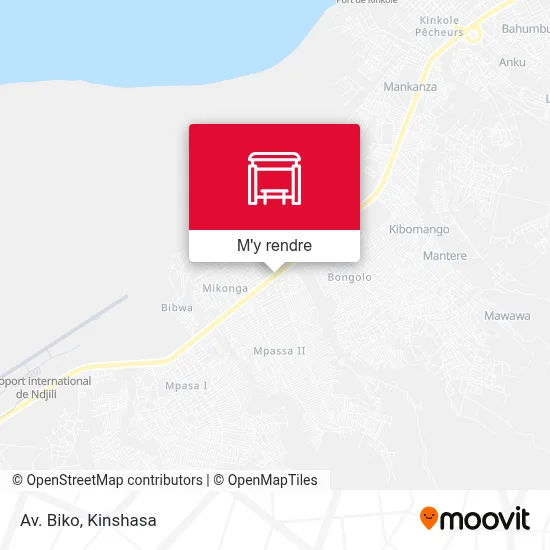 Av. Biko plan