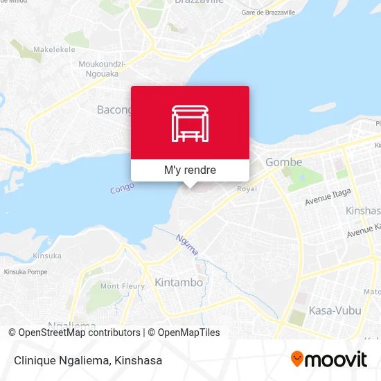 Clinique Ngaliema plan