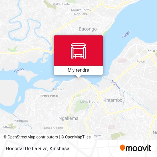 Hospital De La Rive plan