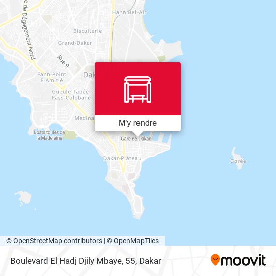 Boulevard El Hadj Djily Mbaye, 55 plan