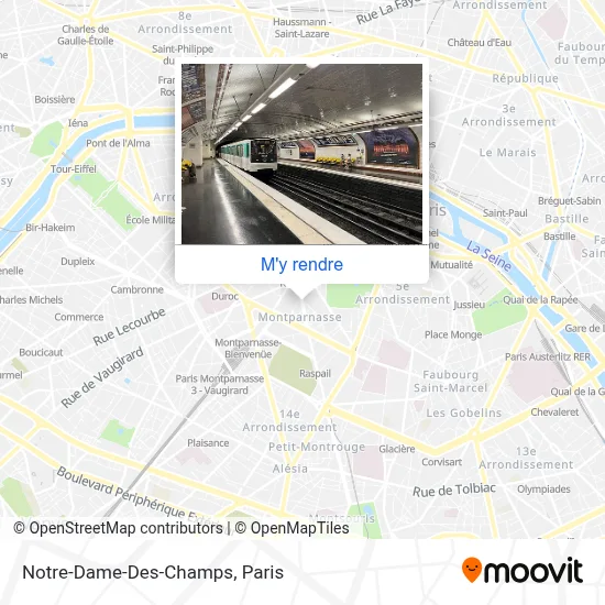 Notre-Dame-Des-Champs plan
