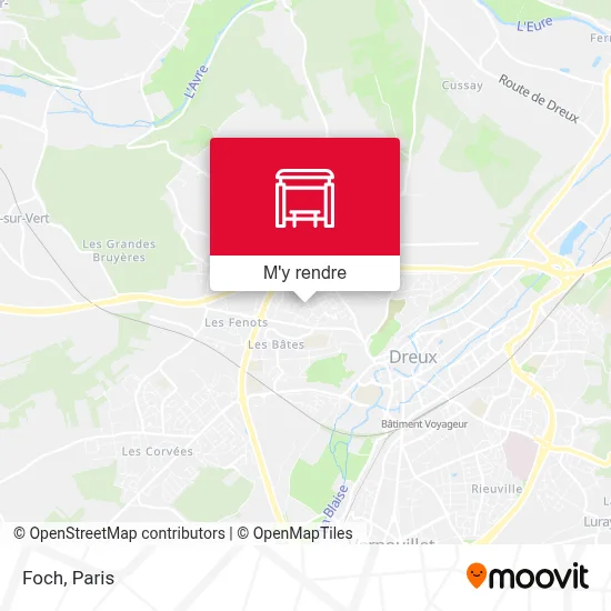 Foch plan