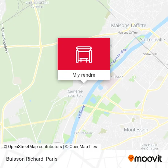 Buisson Richard plan