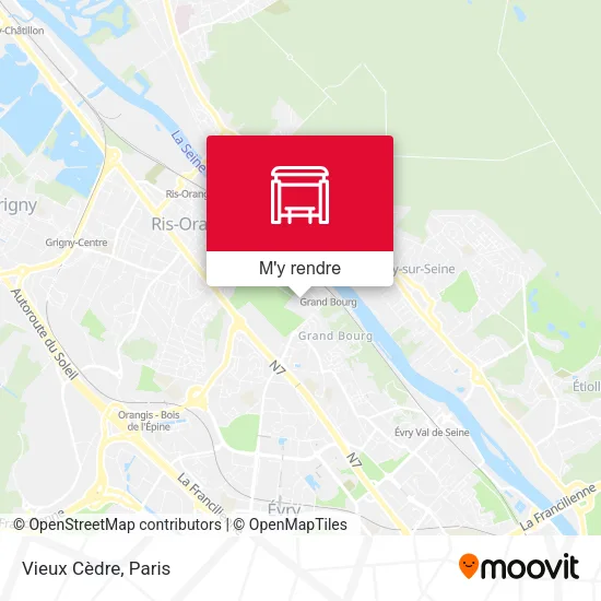Vieux Cèdre plan