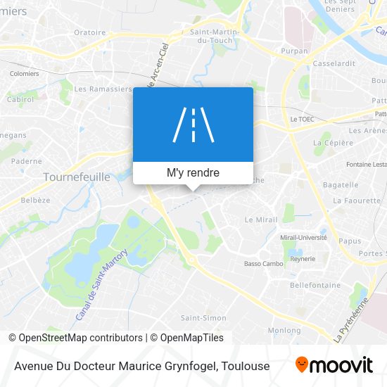 Avenue Du Docteur Maurice Grynfogel plan