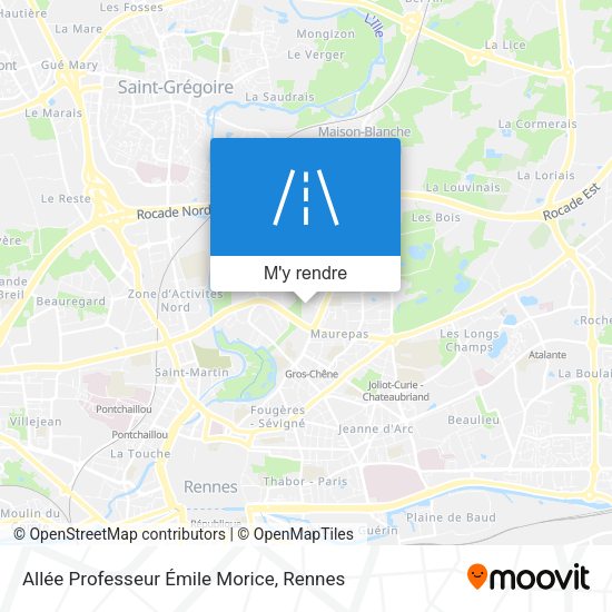 Allée Professeur Émile Morice plan