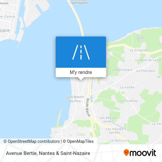 Avenue Bertie plan