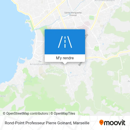 Rond-Point Professeur Pierre Goinard plan