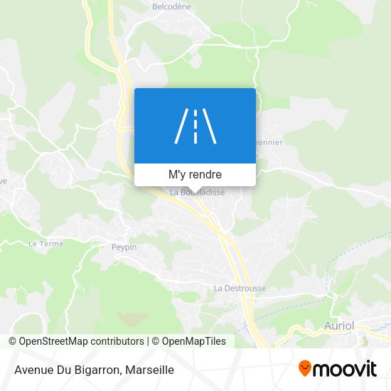 Avenue Du Bigarron plan