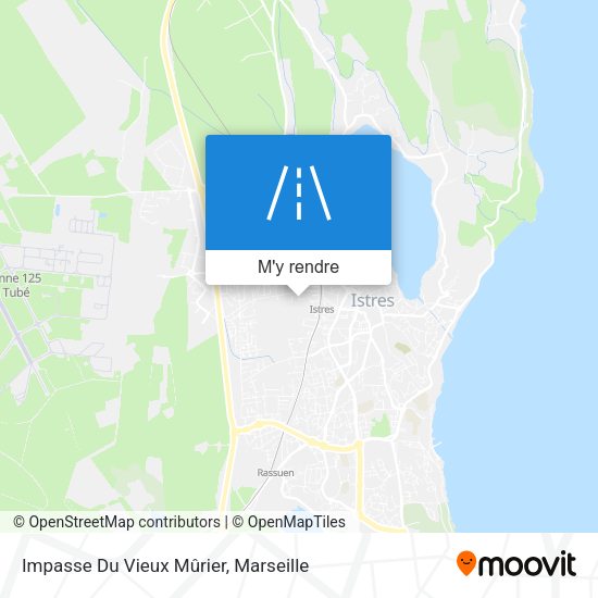 Impasse Du Vieux Mûrier plan