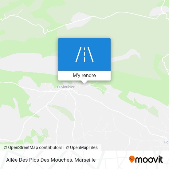 Allée Des Pics Des Mouches plan