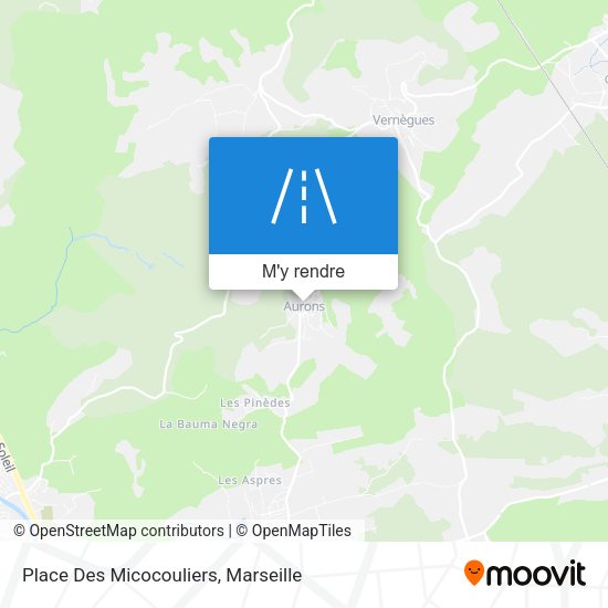 Place Des Micocouliers plan