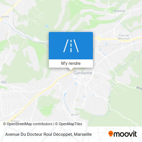 Avenue Du Docteur Roul Décoppet plan