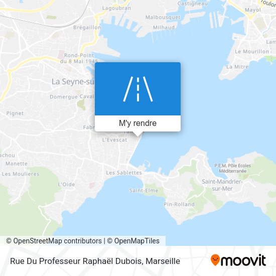 Rue Du Professeur Raphaël Dubois plan