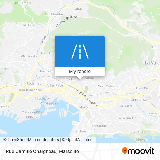 Rue Camille Chaigneau plan