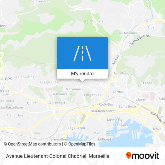 Avenue Lieutenant-Colonel Chabriel plan
