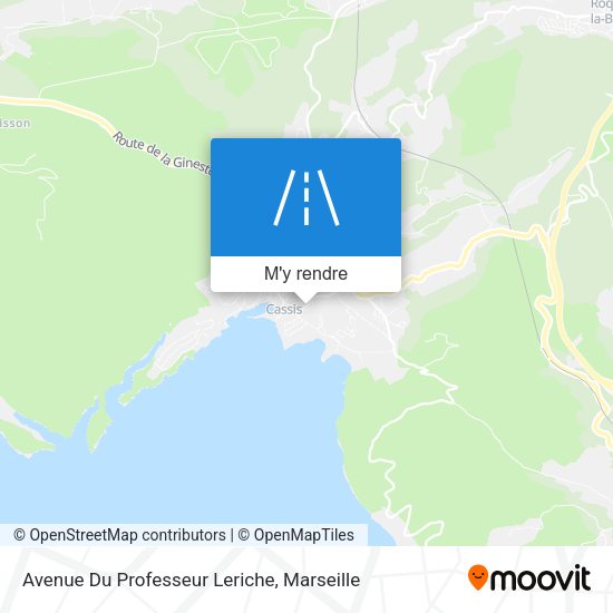 Avenue Du Professeur Leriche plan