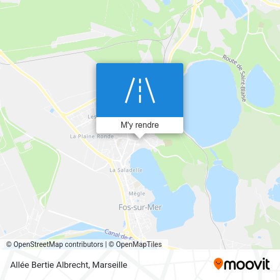 Allée Bertie Albrecht plan