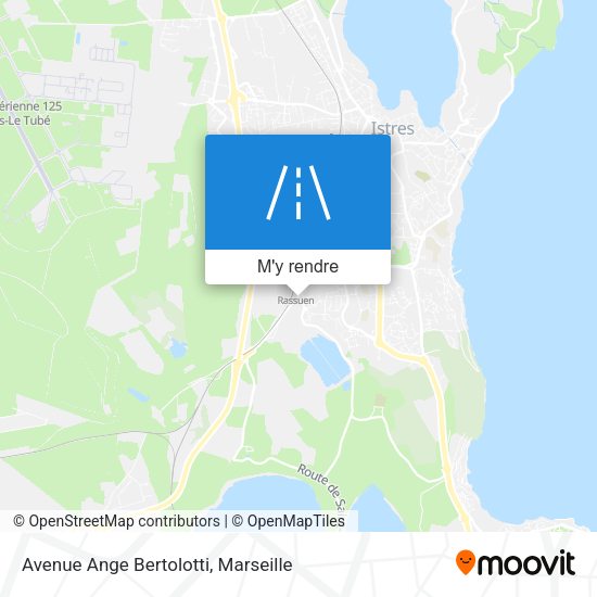 Avenue Ange Bertolotti plan