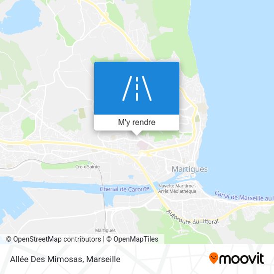 Allée Des Mimosas plan