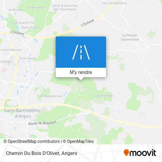 Chemin Du Bois D'Olivet plan