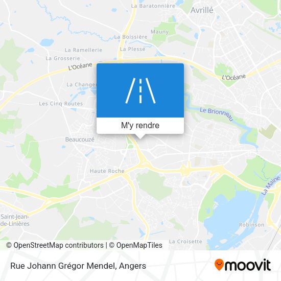 Rue Johann Grégor Mendel plan