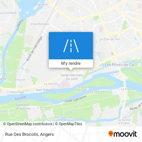 Rue Des Brocolis plan