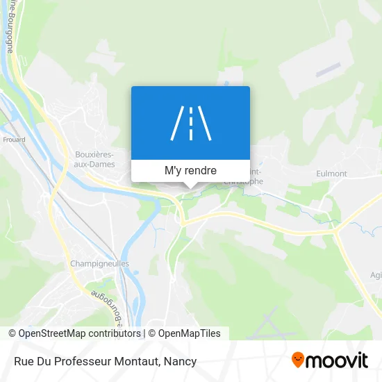 Rue Du Professeur Montaut plan