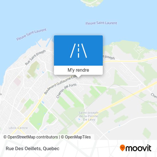 Rue Des Oeillets plan